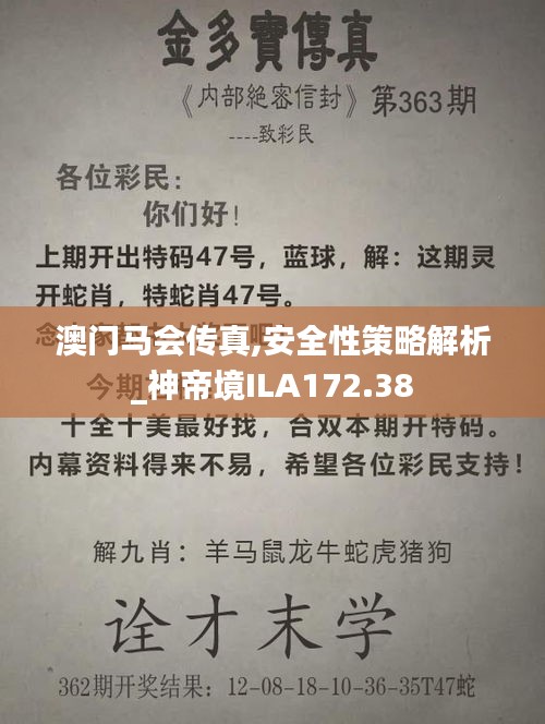 澳门马会传真,安全性策略解析_神帝境ILA172.38