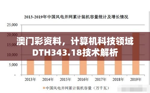 澳门彩资料，计算机科技领域DTH343.18技术解析