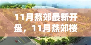 燕郊楼市热点解析，最新开盘项目深度探讨与楼市动态观察