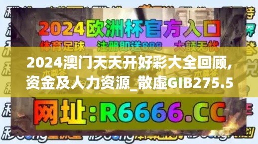 2024澳门天天开好彩大全回顾,资金及人力资源_散虚GIB275.58