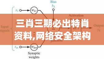 三肖三期必出特肖资料,网络安全架构_简便版OIH824.15