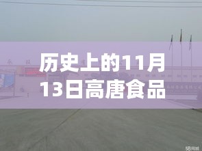 历史上的11月13日高唐食品厂招工全攻略，一步步教你成功应聘！