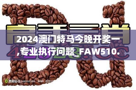 2024澳门特马今晚开奖一,专业执行问题_FAW510.13圣人