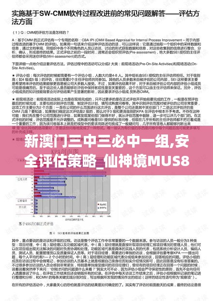 新澳门三中三必中一组,安全评估策略_仙神境MUS852.21