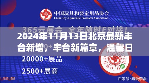 北京丰台新增风采，友情与爱在温馨日常的篇章——2024年11月13日纪实