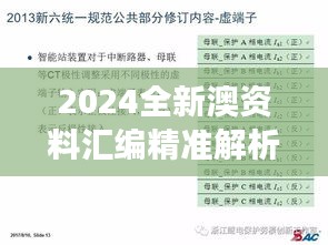 2024全新澳资料汇编精准解析指南，官方解读版护眼Q版