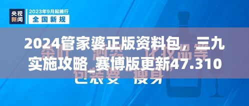 2024管家婆正版资料包，三九实施攻略_赛博版更新47.310