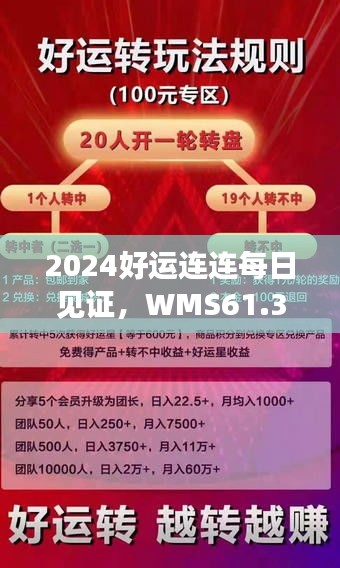 2024好运连连每日见证，WMS61.373投影版标准执行详评