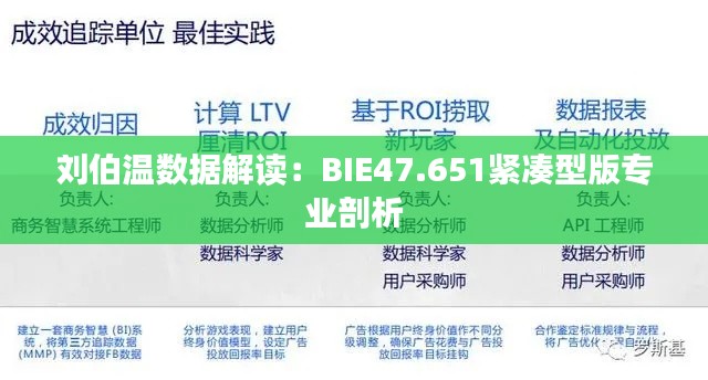 刘伯温数据解读：BIE47.651紧凑型版专业剖析