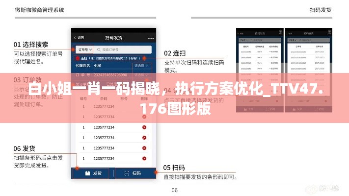 白小姐一肖一码揭晓，执行方案优化_TTV47.176图形版