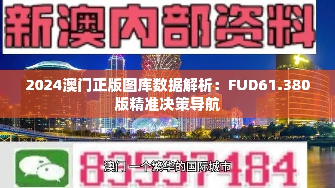 2024澳门正版图库数据解析：FUD61.380版精准决策导航