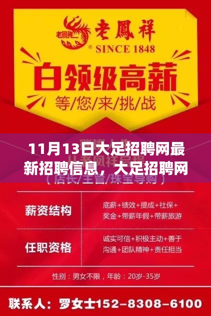 大足招聘网最新招聘信息概览，时代脉搏与职业新声（11月13日）