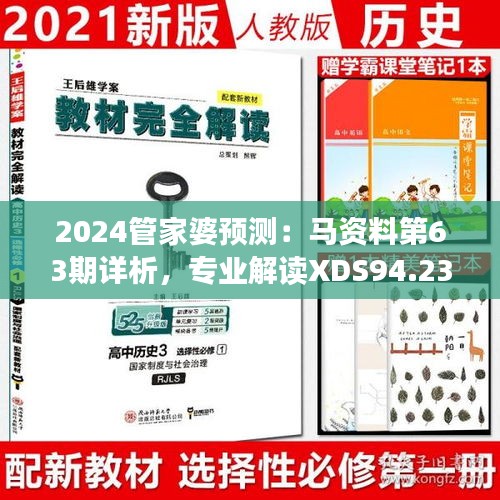 2024管家婆预测：马资料第63期详析，专业解读XDS94.237旗舰版数据