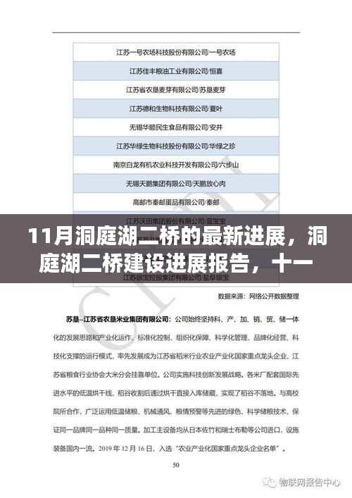 洞庭湖二桥建设进展报告，十一月最新动态及洞庭湖二桥二期的最新进展