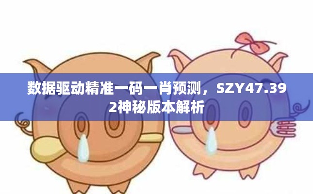 数据驱动精准一码一肖预测，SZY47.392神秘版本解析