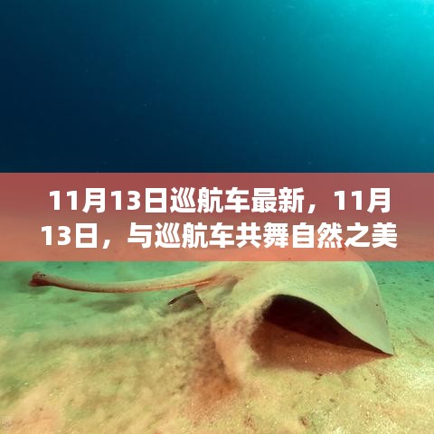 11月13日最新巡航车之旅，与自然共舞，寻找内心平静的奇妙旅程