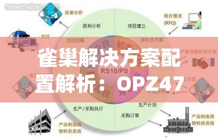 雀巢解决方案配置解析：OPZ47.461共鸣版