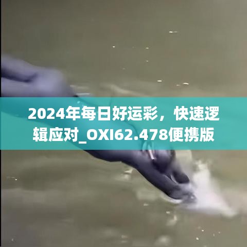 2024年每日好运彩，快速逻辑应对_OXI62.478便携版