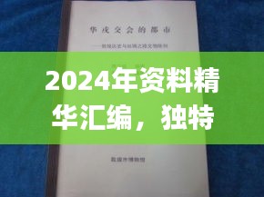 2024年资料精华汇编，独特解读版_KNI61.713权威版