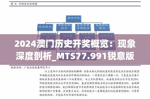 2024澳门历史开奖概览：现象深度剖析_MTS77.991锐意版