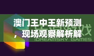 澳门王中王新预测，现场观察解析解读 LYB62.376专属版