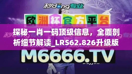 探秘一肖一码顶级信息，全面剖析细节解读_LRS62.826升级版