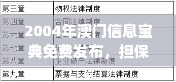 2004年澳门信息宝典免费发布，担保执行策略详解_YXQ61.389讲座版