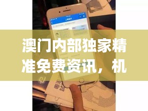 澳门内部独家精准免费资讯，机制评估攻略_GVU61.463手机版