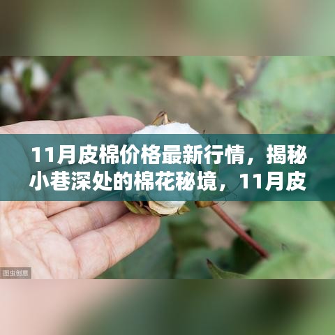 揭秘棉花秘境，11月皮棉最新行情与特色小店的奇遇