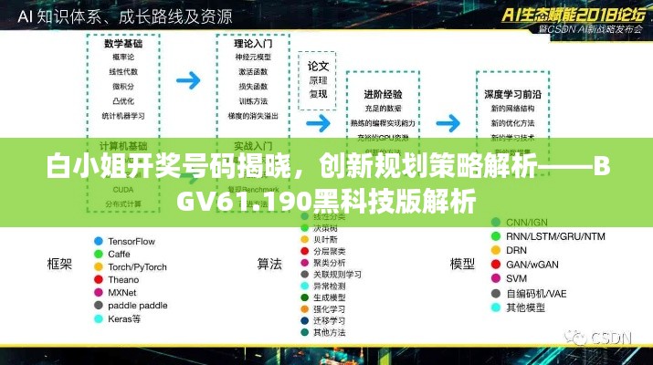 白小姐开奖号码揭晓，创新规划策略解析——BGV61.190黑科技版解析