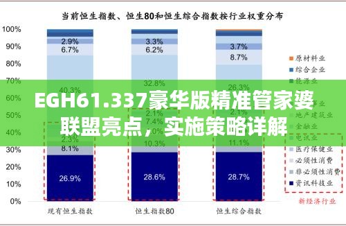 EGH61.337豪华版精准管家婆联盟亮点，实施策略详解