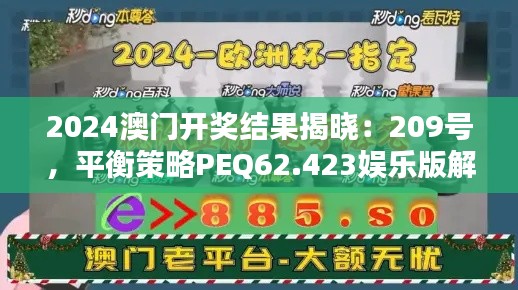 2024澳门开奖结果揭晓：209号，平衡策略PEQ62.423娱乐版解析