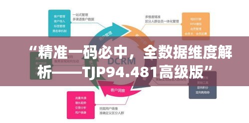 “精准一码必中，全数据维度解析——TJP94.481高级版”