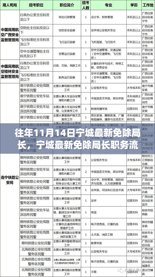 宁城最新免除局长职务详解及操作指南，职务免除流程全面剖析