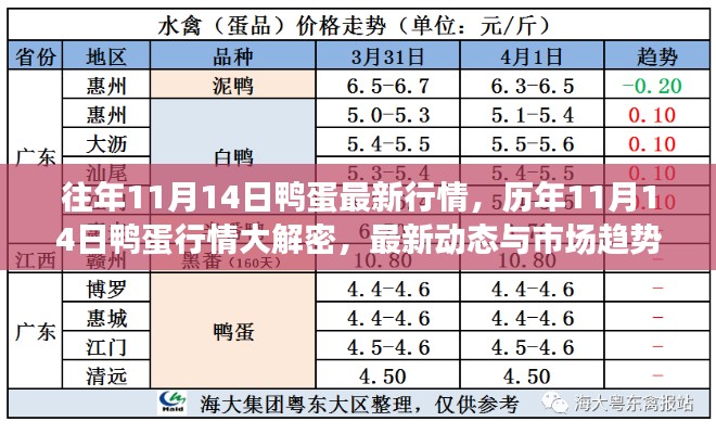 历年与最新动态解析，鸭蛋行情揭秘与市场趋势展望（11月14日篇）