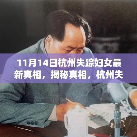 杭州失踪妇女事件揭秘，最新真相与解析步骤指南（11月14日更新）