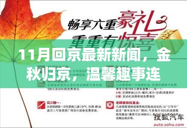 金秋归京，最新新闻与温馨趣事，友情纽带紧密连结