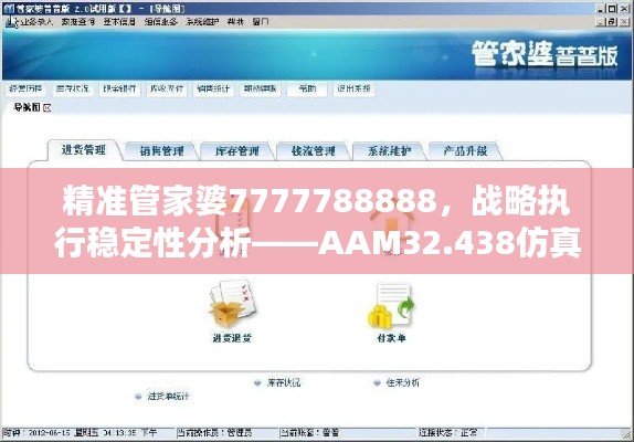 精准管家婆7777788888，战略执行稳定性分析——AAM32.438仿真版本