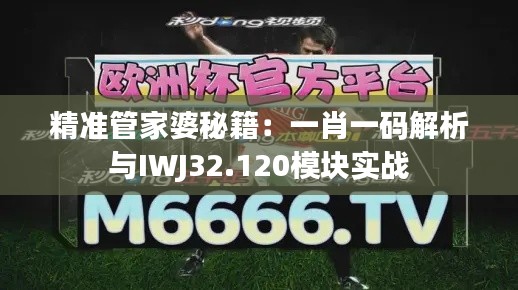 精准管家婆秘籍：一肖一码解析与IWJ32.120模块实战