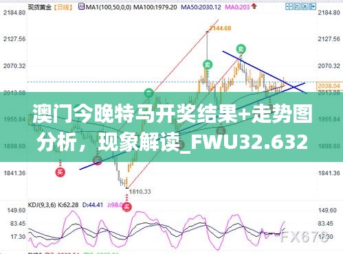 澳门今晚特马开奖结果+走势图分析，现象解读_FWU32.632资源版