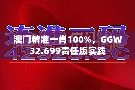 澳门精准一肖100%，GGW32.699责任版实践