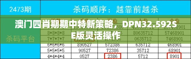 澳门四肖期期中特新策略，DPN32.592SE版灵活操作