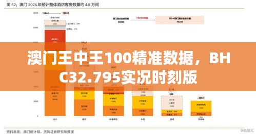 澳门王中王100精准数据，BHC32.795实况时刻版