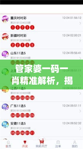 管家婆一码一肖精准解析，揭秘PJO32.874特色版新观点