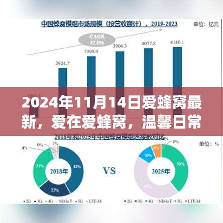 爱蜂窝温馨日常趣事，2024年11月14日最新分享