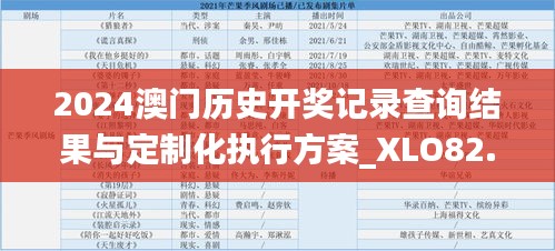 2024澳门历史开奖记录查询结果与定制化执行方案_XLO82.857