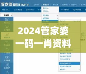 2024管家婆一码一肖资料：数据驱动的决策分析_UHG87.674限量版