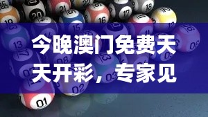 今晚澳门免费天天开彩，专家见解_DDR28.216轻量版