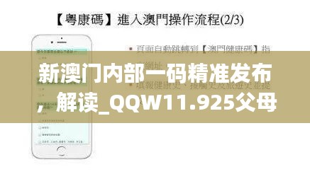 新澳门内部一码精准发布，解读_QQW11.925父母版本