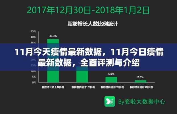 全面评测与介绍，今日瘦情最新数据（11月）分析报告